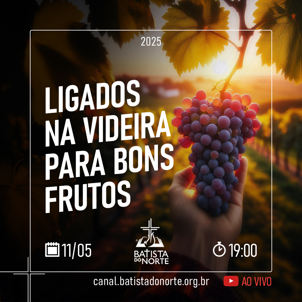 LIGADOS NA VIDEIRA PARA BONS FRUTOS!